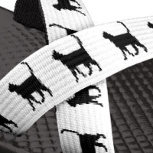 Meet your Posher, Kailani - Picture 1 of 1